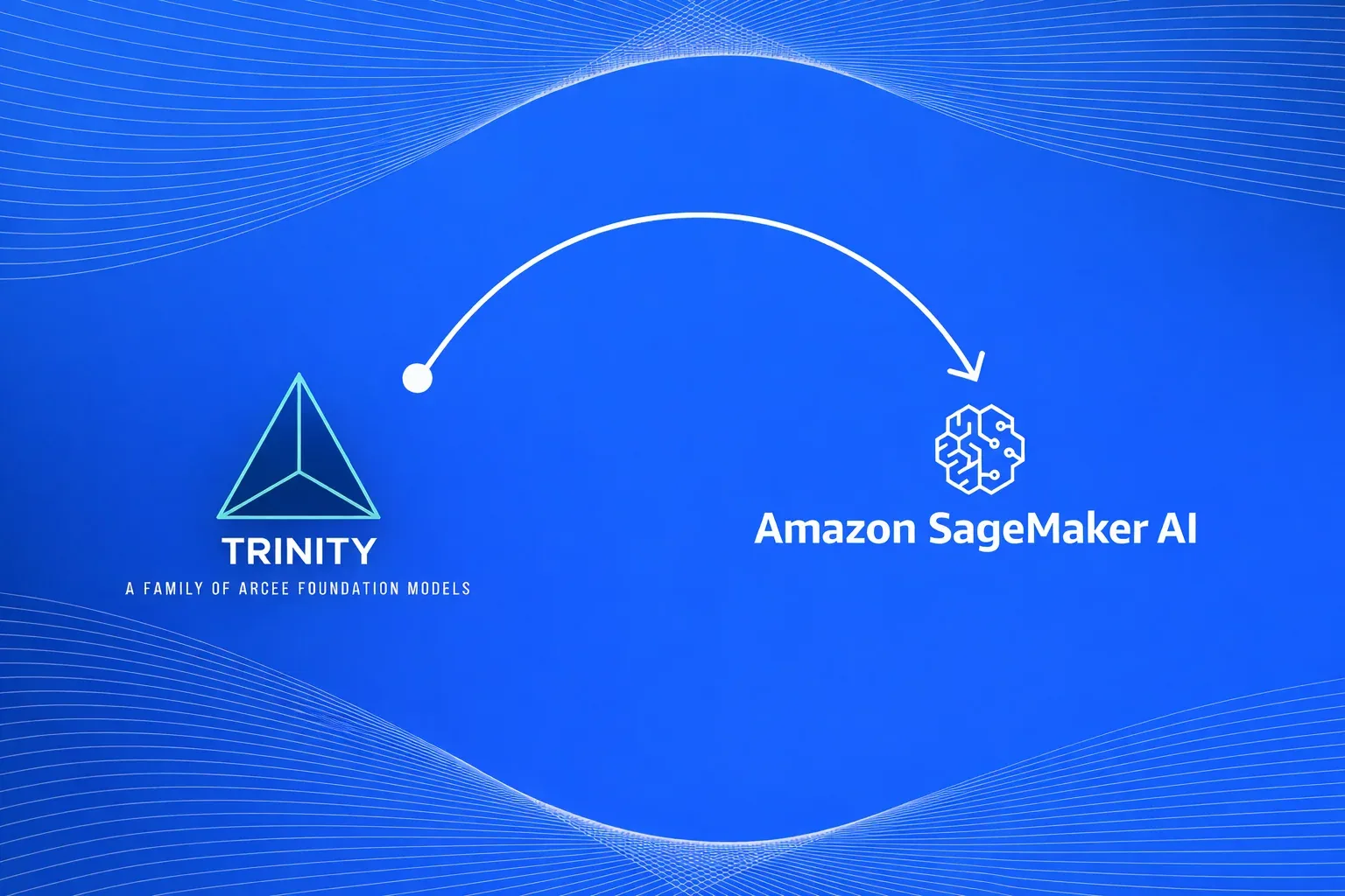 Deploying Trinity-Mini-DrugProt-Think on Amazon SageMaker AI